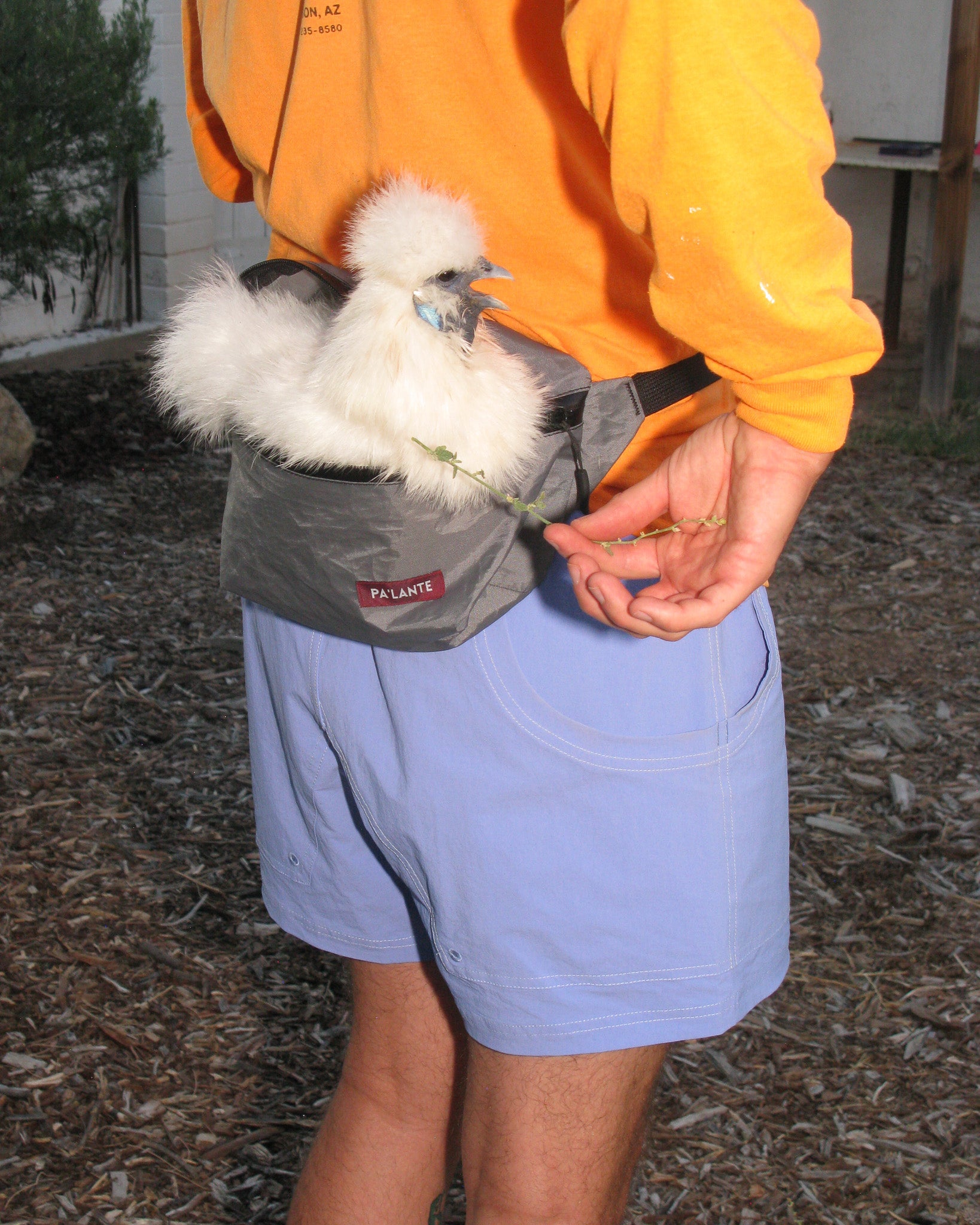 fanny pack – Pa'lante Packs